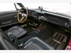 Thumbnail Photo 49 for 1966 Shelby GT350
